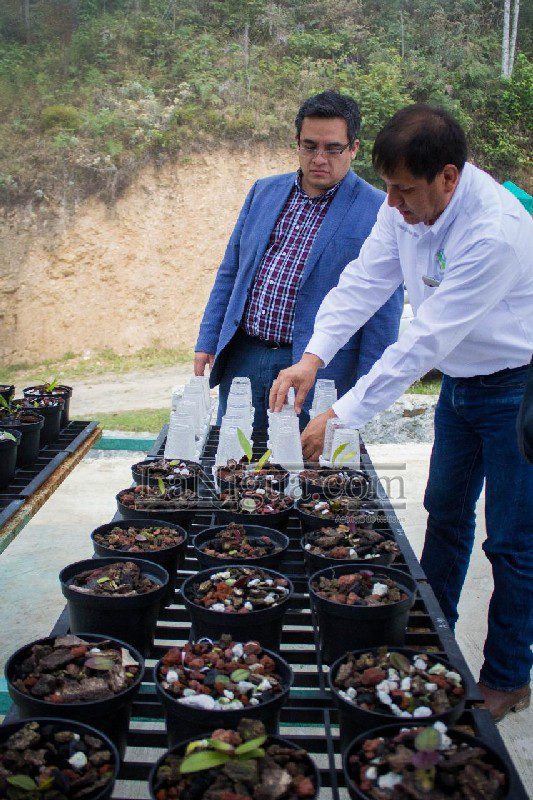 PROGRAMA DE EQUIPAMIENTO AGRÍCOLA 4