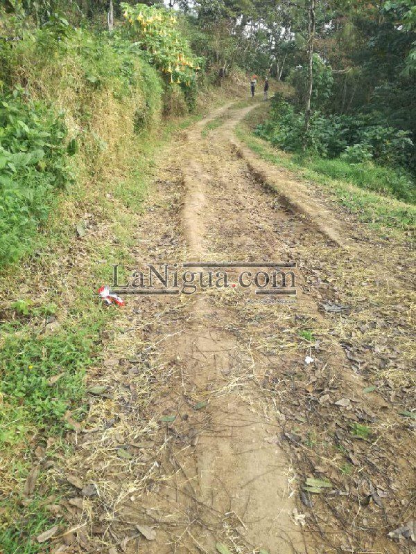 Dan mantenimiento a caminos de la zona rural. 1 WhatsApp Image 2019 02 26 at 11.54.28