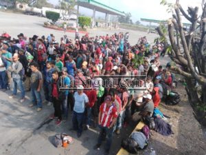 Migrantes4