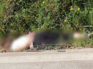 muerta1