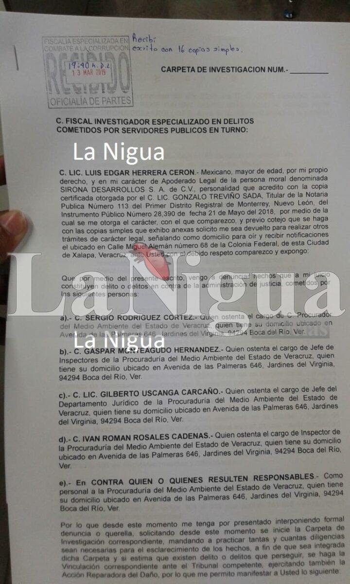 Denuncian a funcionarios de la Procuraduría del Medio Ambiente.