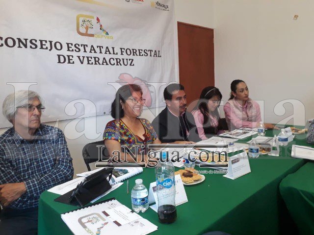 Integra SEDEMA Comités Técnicos para acciones de remediación en Las Vigas