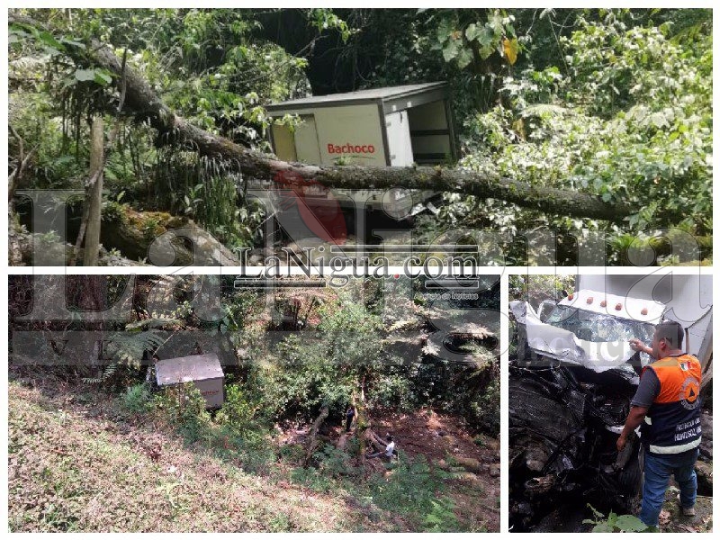 Se sale de camino camioneta de Bachoco; sobre la Cosco – Huatusco.