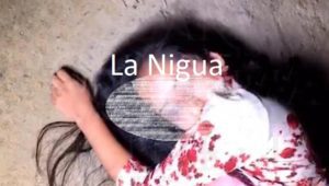 asesinada papantla