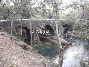 ecoturismo