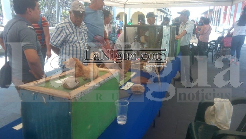 Jefatura de Ecología y Medio Ambiente realiza evento por el Día de la Tierra