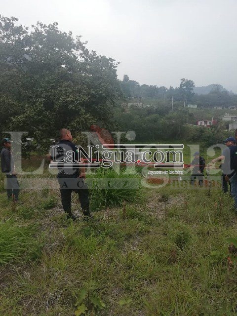 Albañiles encuentran osamenta de menor osamenta1