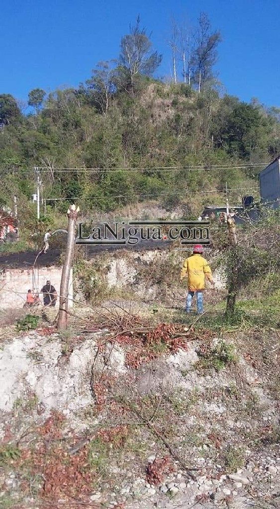 Incendio de pastizal, provoca movilización en Papantla