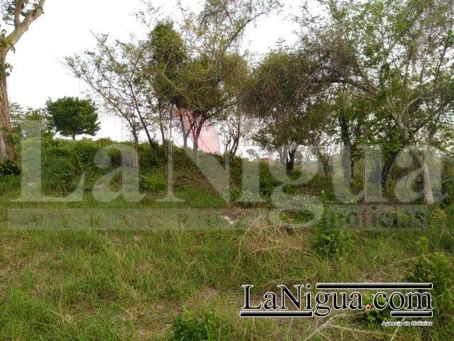 Identifican los restos humanos encontrados en Papantla.