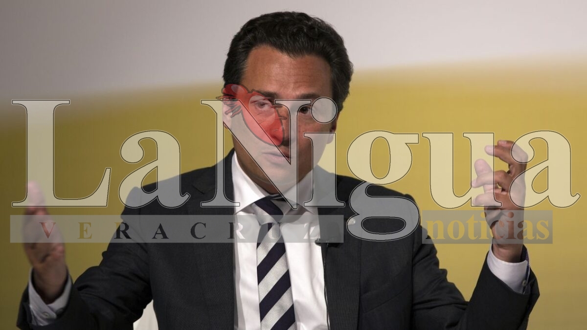 Detienen en Alemania a madre de Emilio Lozoya, informa abogado Javier Coello