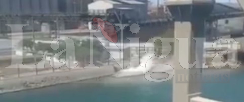 Grupo México derrama al menos 3 mil litros de ácido sulfúrico en el Mar de Cortés (video)