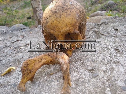 Dejan cráneo en muro de contención del callejón de la Rivera de Río Bobos