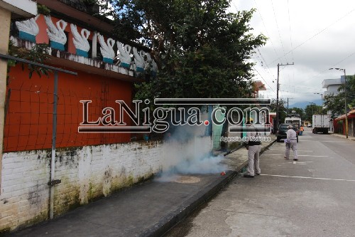 Fumigarán para combatir dengue, zika y chikungunya en Cuautlapan