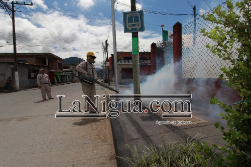 Fumigarán para combatir dengue, zika y chikungunya en Cuautlapan