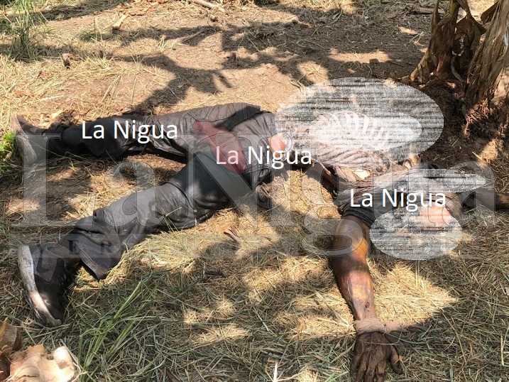 Regresa Fiscalía por un sexto cuerpo en Vega