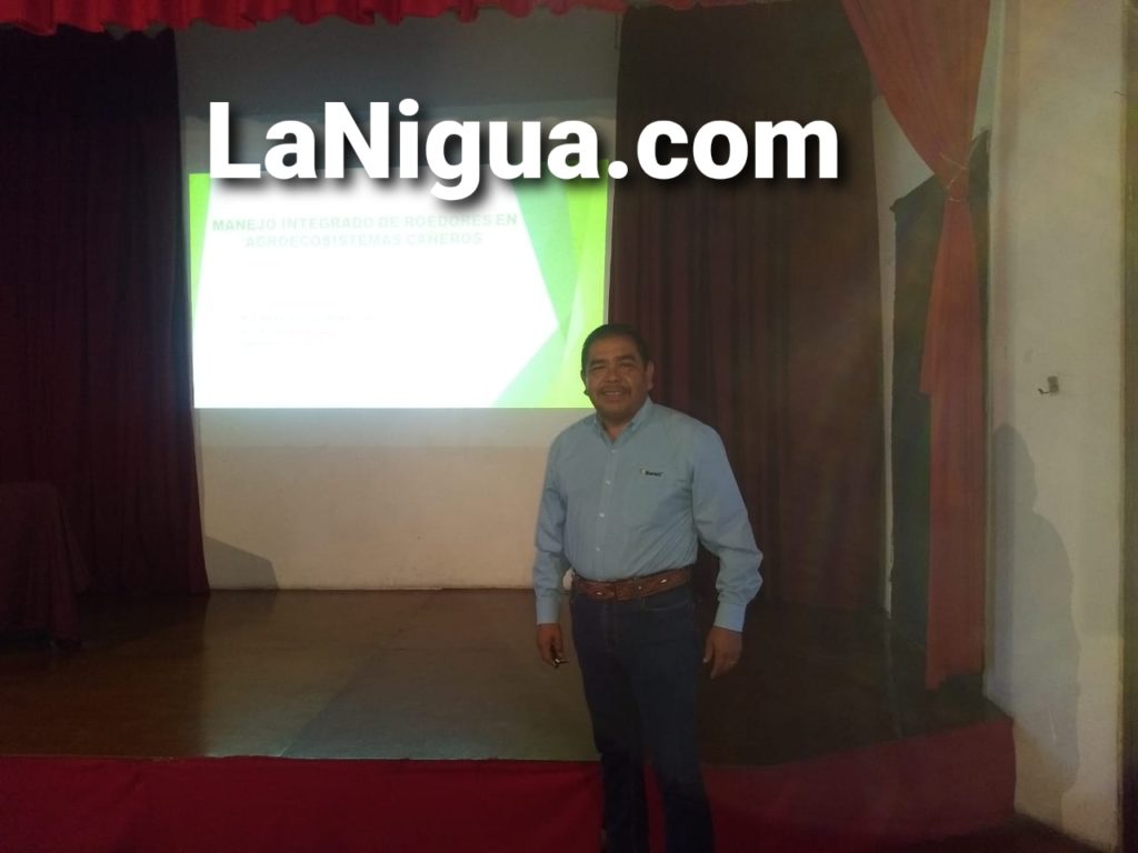 Sequía ha afectado el cultivo de caña