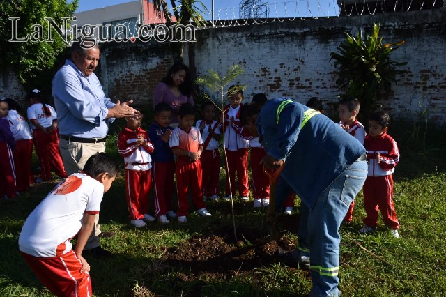 Reforestan en una primera etapa la escuela primaria “21 de Mayo”