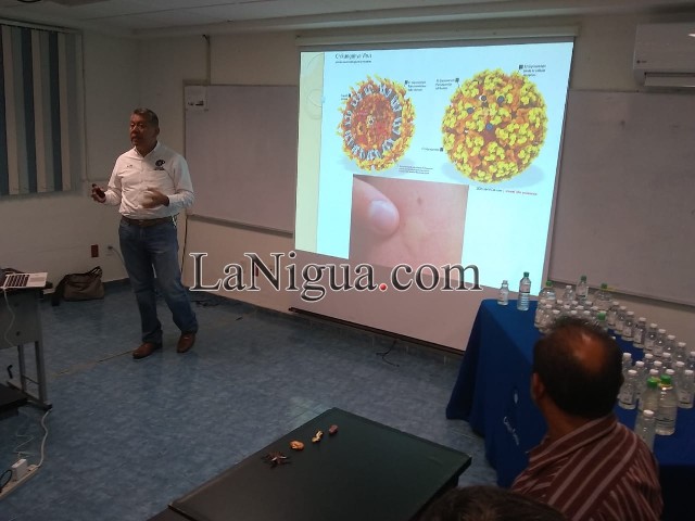 Combatirán al Dengue.