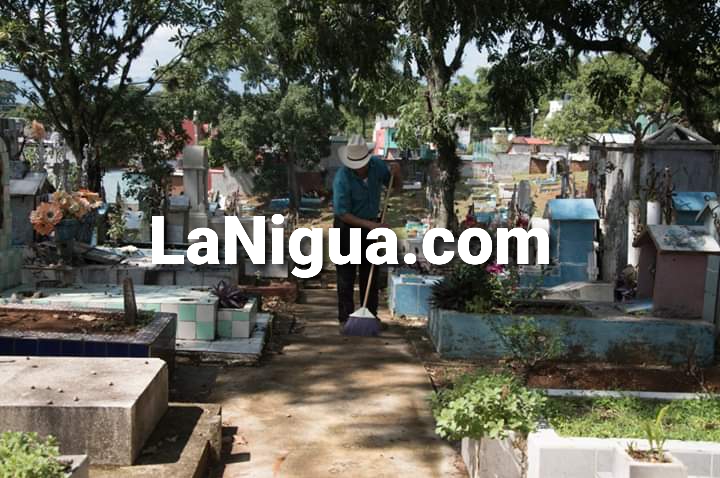 Certifican como espacio libre de mosco del dengue los dos panteones de Córdoba