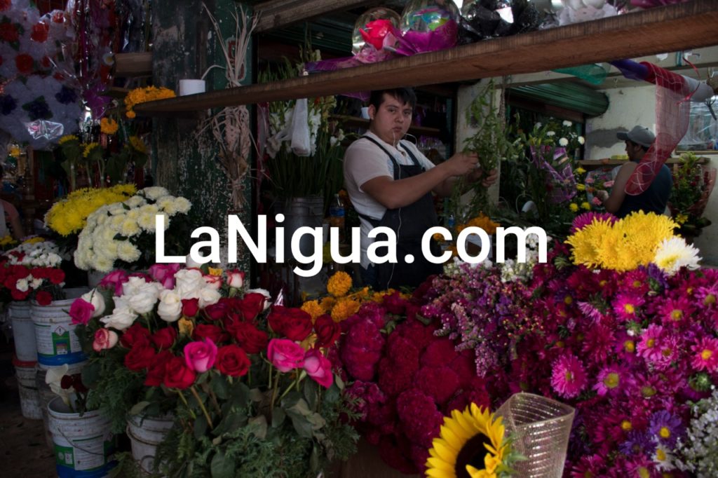 Ayuntamiento de Córdoba invita a realizar compras en mercados locales para “Todos Santos”