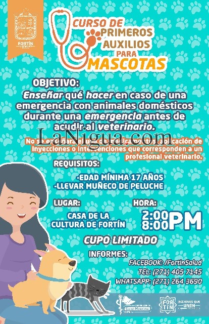 Ayuntamiento de Fortín ofrecerá curso de Primeros Auxilios para Mascotas
