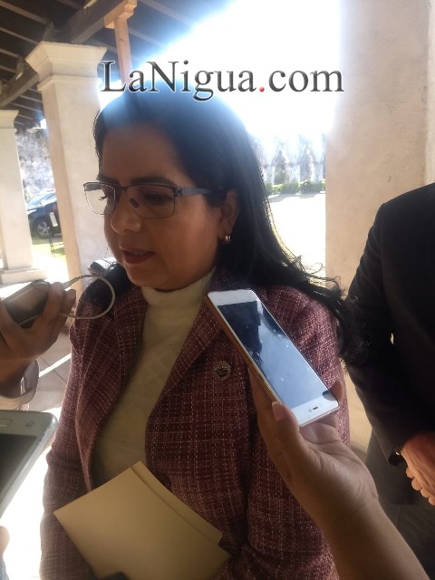 Por mandato judicial se debe legislar en el estado el tema del aborto