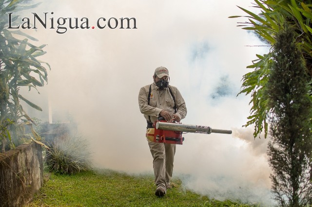REALIZAN ACCIONES PREVENTIVAS PARA LIMITAR EL CONTAGIO DE ENFERMEDADES DE TRANSMISIÓN POR VECTOR EN LOS PANTEONES DE FORTÍN.