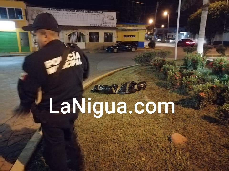 20191102 1929365715387136100369984
