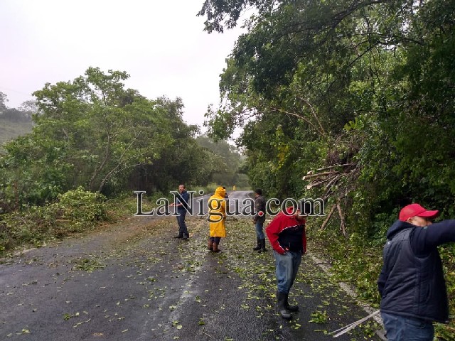 Causo daños a su paso el Frente Frío Número 12 por Papantla.
