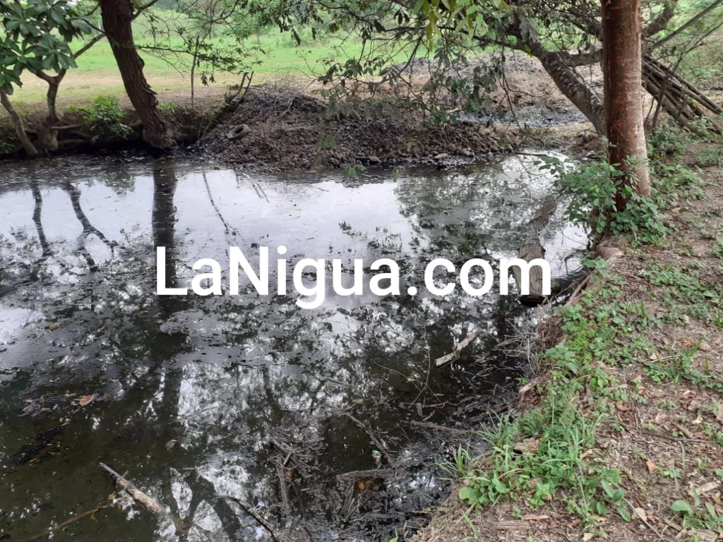 Causa PEMEX otro fuerte derrame en Papantla