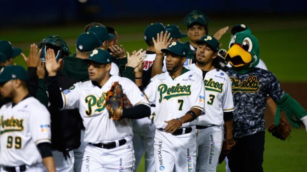 Pericos de Puebla en Córdoba