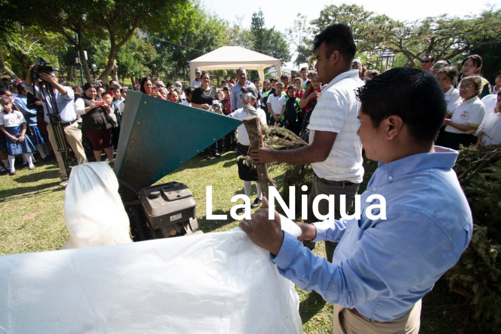 Inicia en Córdoba campaña Recicla tu Navidad