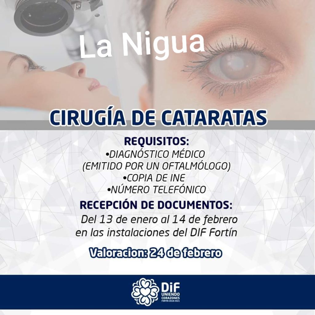Invita DIF de Fortín a jornada de operación de cataratas