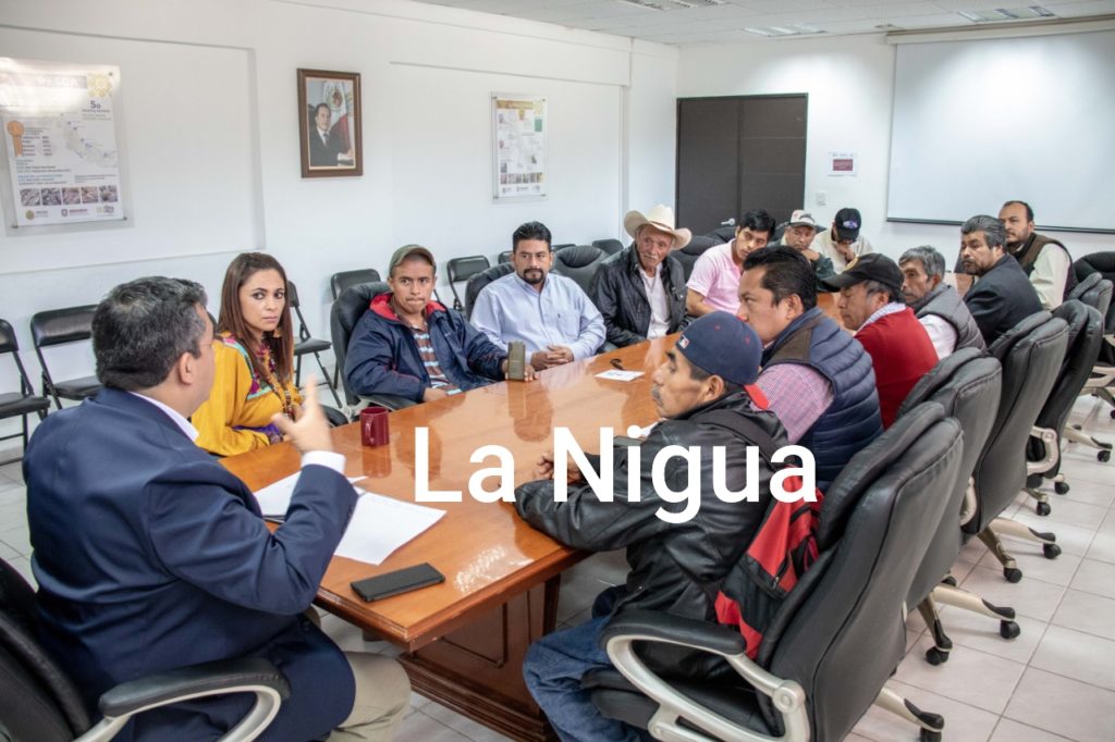 Ixhuatlán Del Café, sede del Certamen Internacional “Taza de Excelencia” en 2020