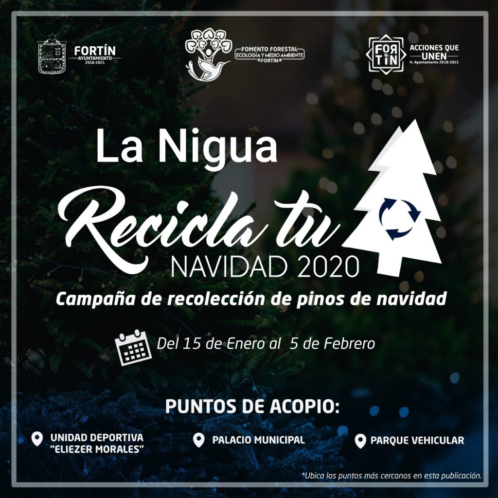 POR 3ER AÑO CONSECUTIVO AYUNTAMIENTO DE FORTÍN LANZA CAMPAÑA “RECICLA TU NAVIDAD 2020”