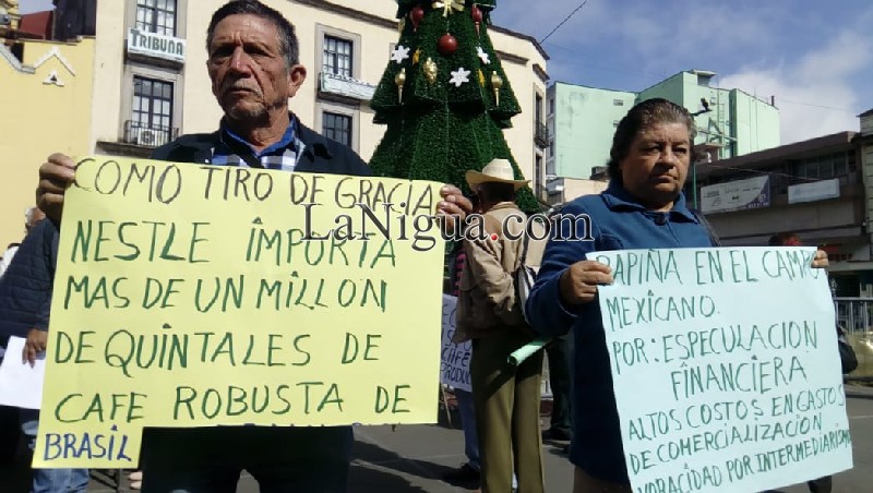 Productores de Café de Coatepec exigen precio justo para café cereza