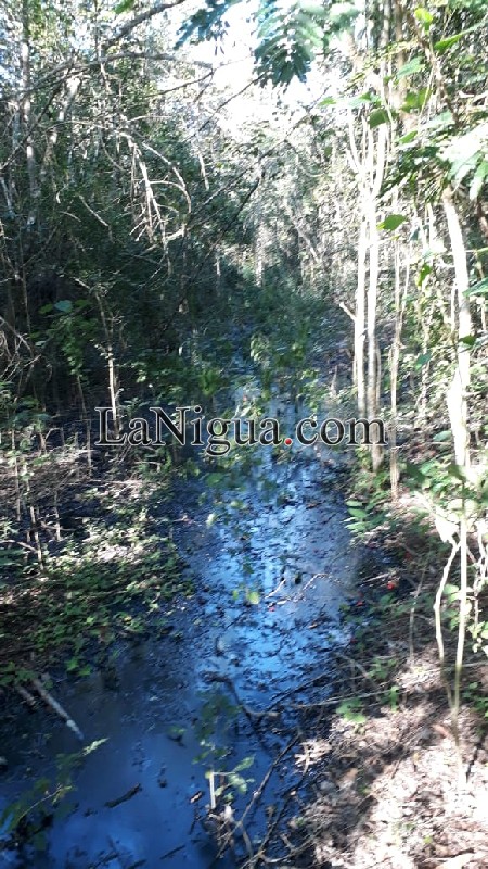 Otra fuga de PEMEX en Papantla