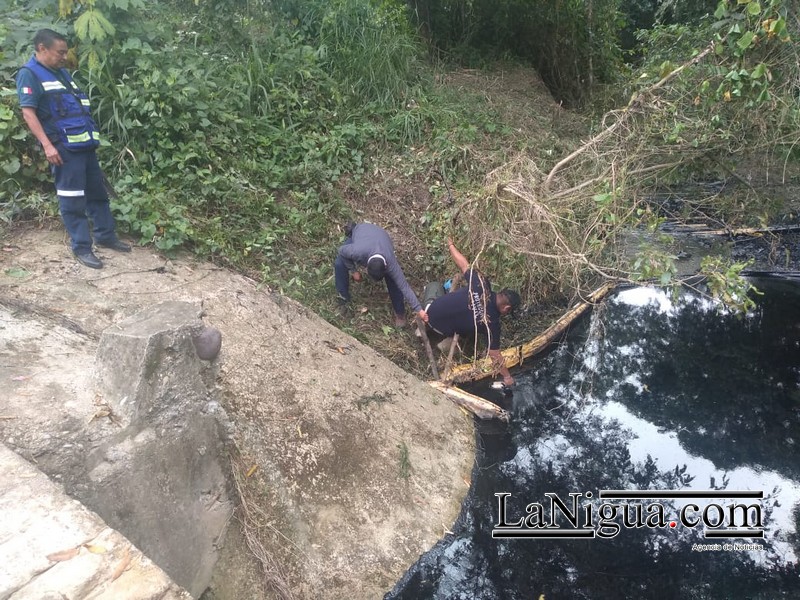 Interviene CONAGUA en la contaminación de arroyo en Papantla