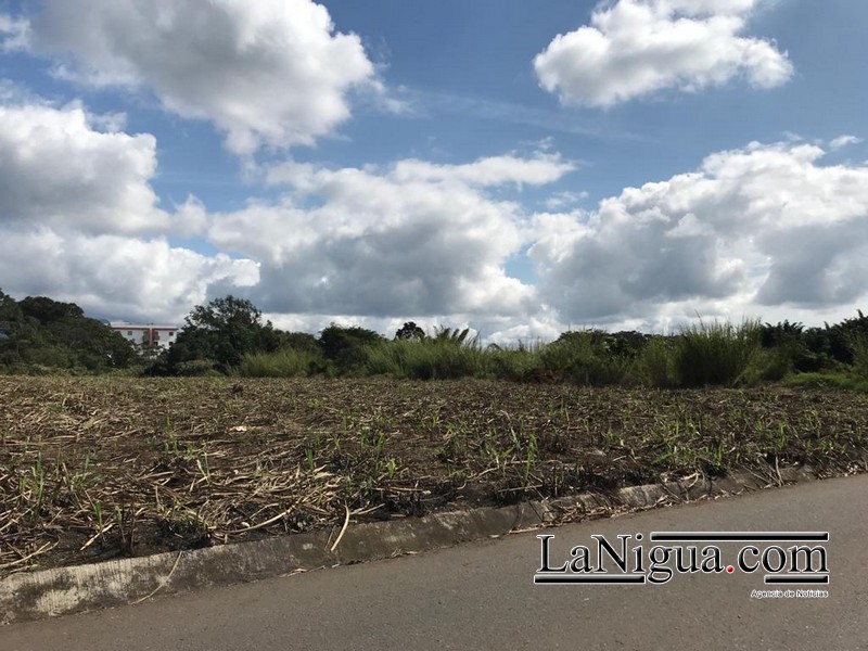 Encuentran feto en cañal