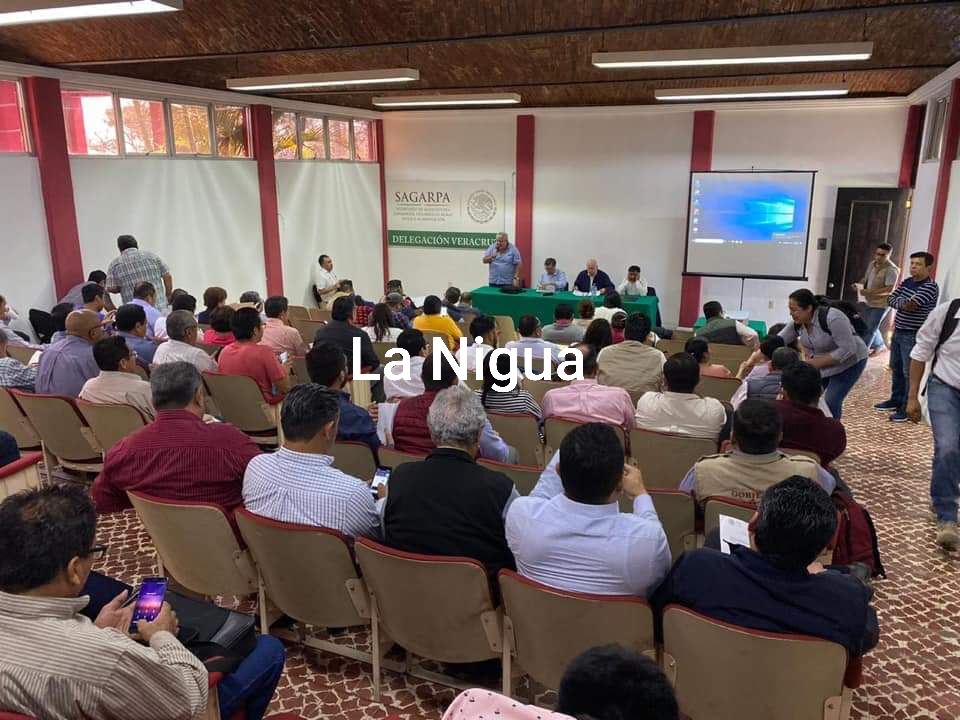 En 2020 SADER ampliará apoyo de los programas ‘Producción para el Bienestar’