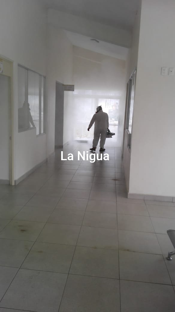 20200331 0939155493648327123901554