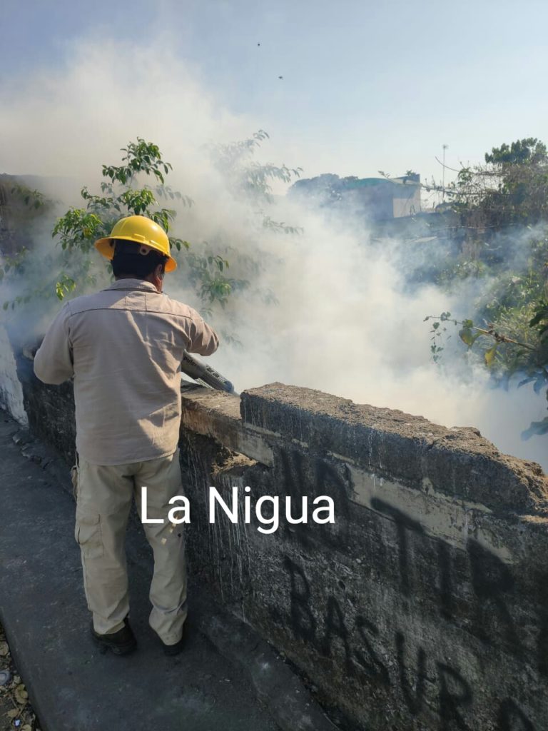 Realizarán acciones de prevención por dengue en colonias de Córdoba