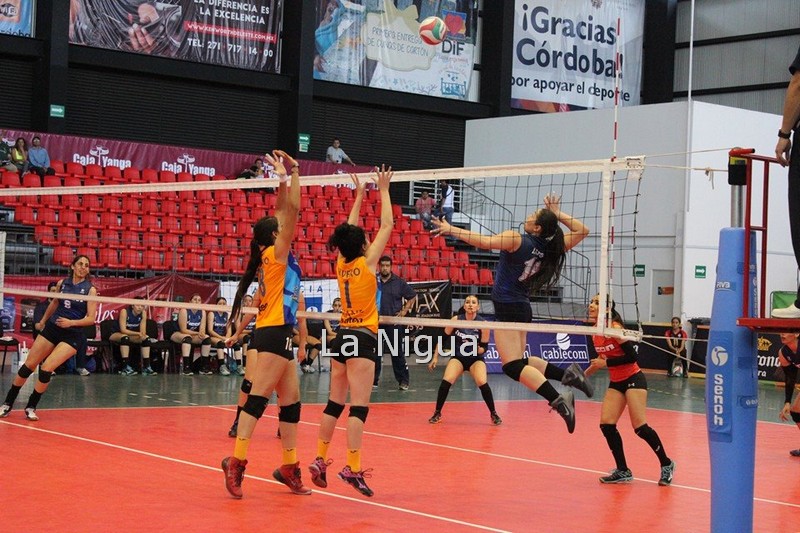 Cerradas las instalaciones deportivas municipales