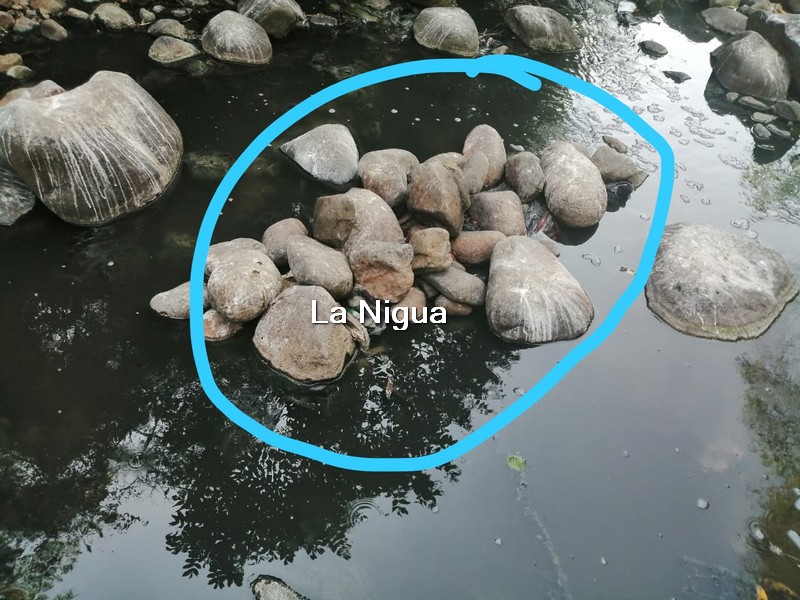 Encuentran cadáver en río de aguas negras