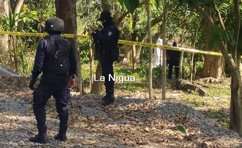 Escapa por la puerta falsa.