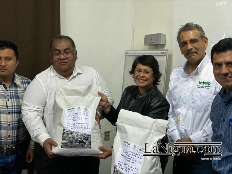 Inicia en Córdoba el programa de innovación y transferencia de variedades de frijol del INIFAP