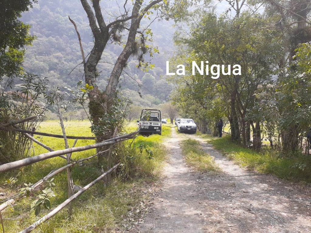 Localizan Fosa Clandestina