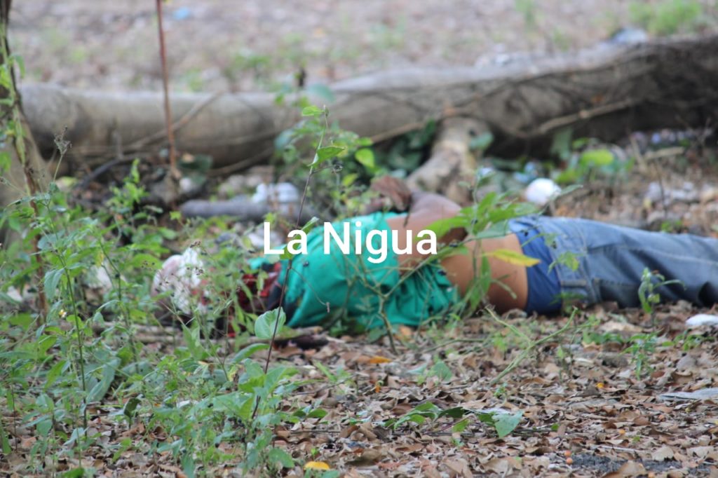 Hallan cadáver de taxista en Martínez de la Torre