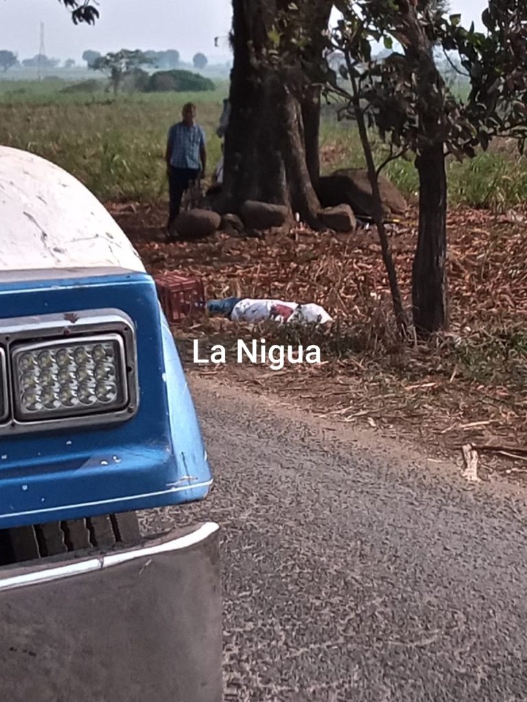 Ejecutan a Productor de Caña.