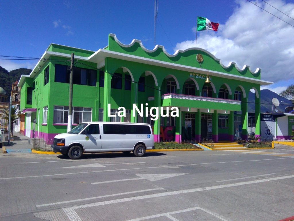 Siguen trabajando contra el Dengue.